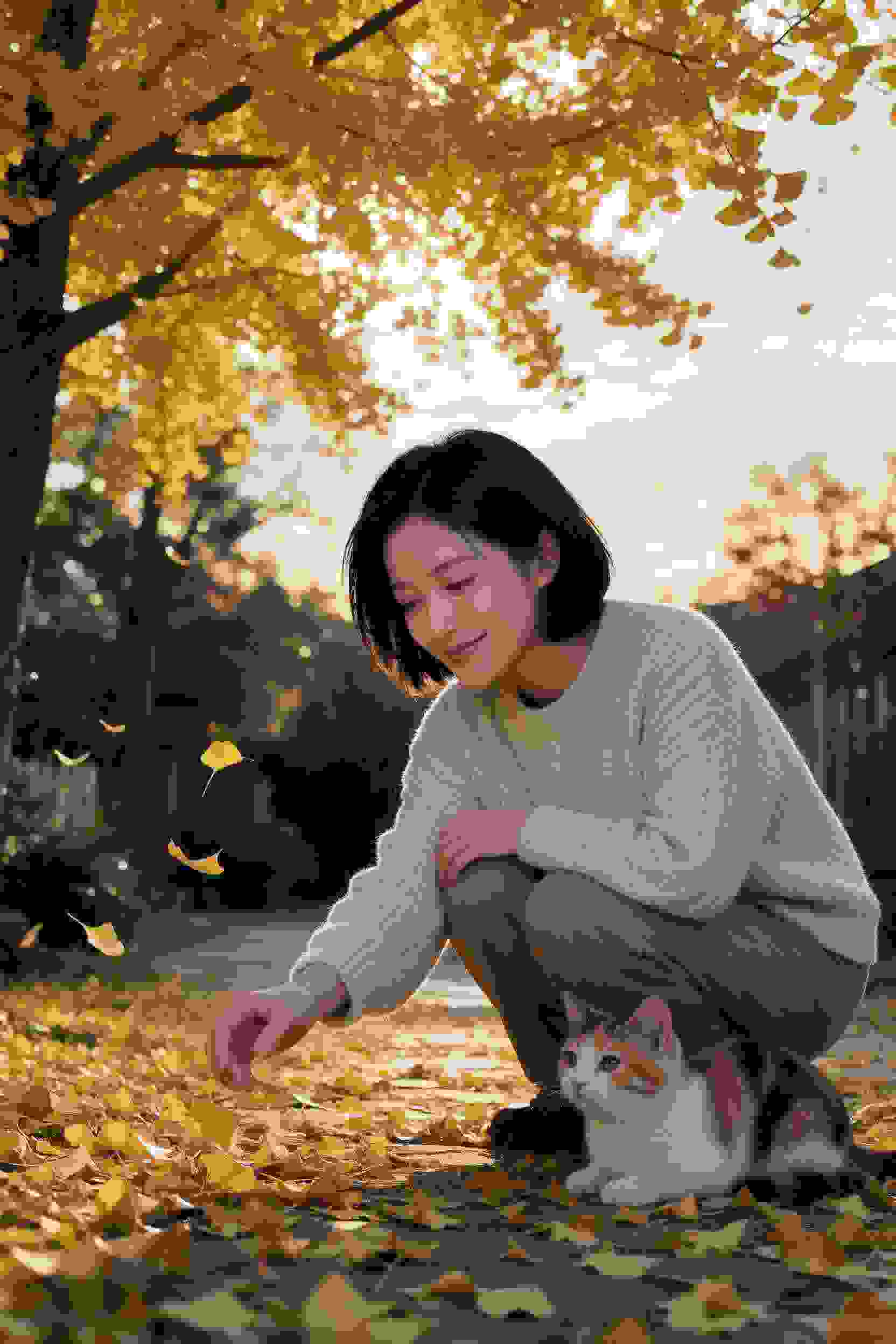 精灵秘境